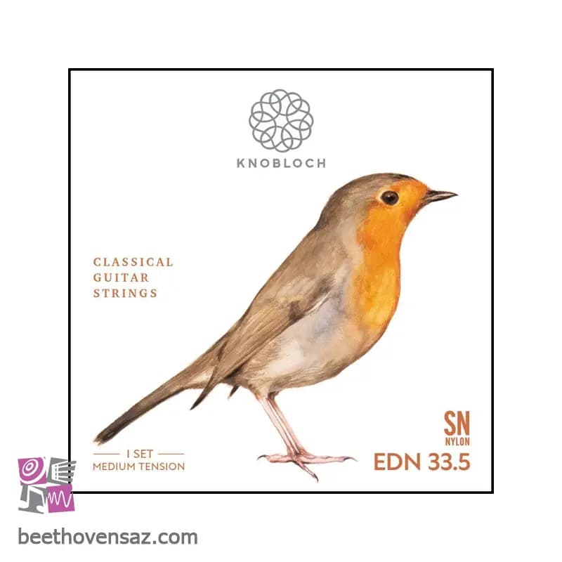 سیم گیتار نابلوخ مدل EDN33.5