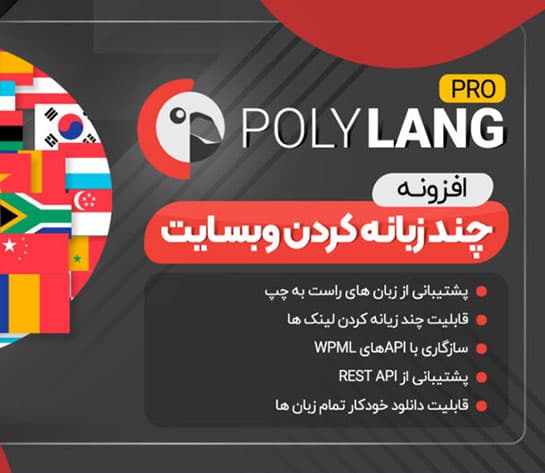 افزونه Polylang Pro، پلاگین چند زبانگی