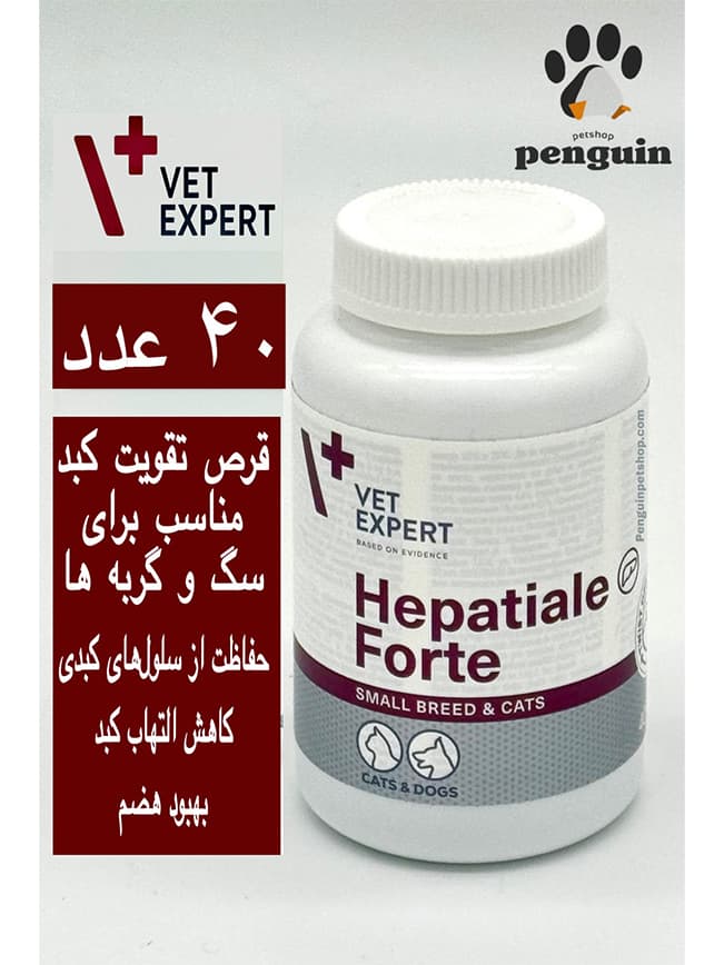 قرص هپاتیال فورته وت اکسپرت سگ و گربه Hepatiale Forte بسته 40 عددی — تصویر ۲