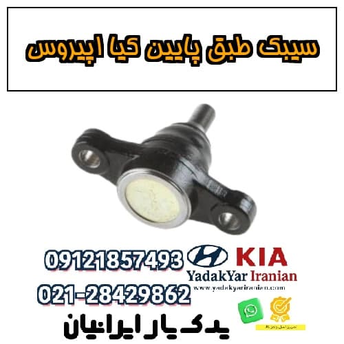 سیبک طبق پایین کیا اپیروس