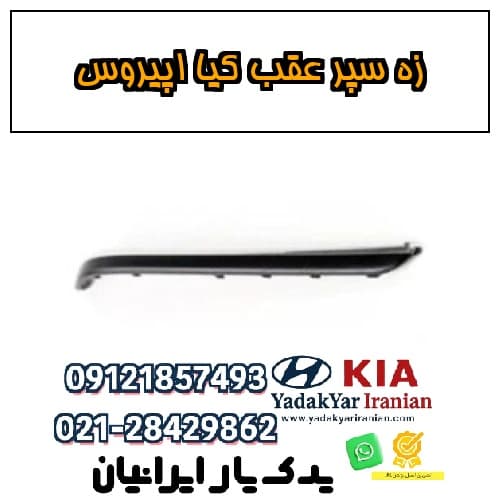 زه سپر عقب کیا اپیروس