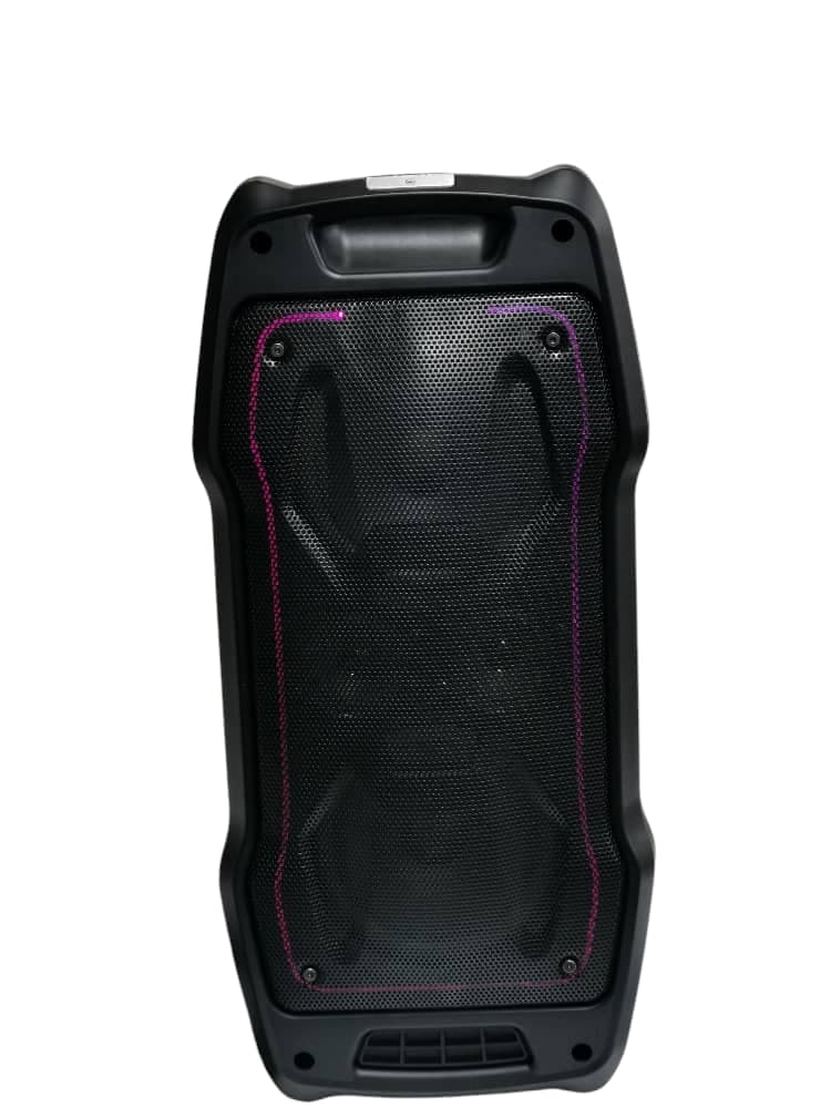 اسپیکر پارتی WINESTAR M4030PRO
