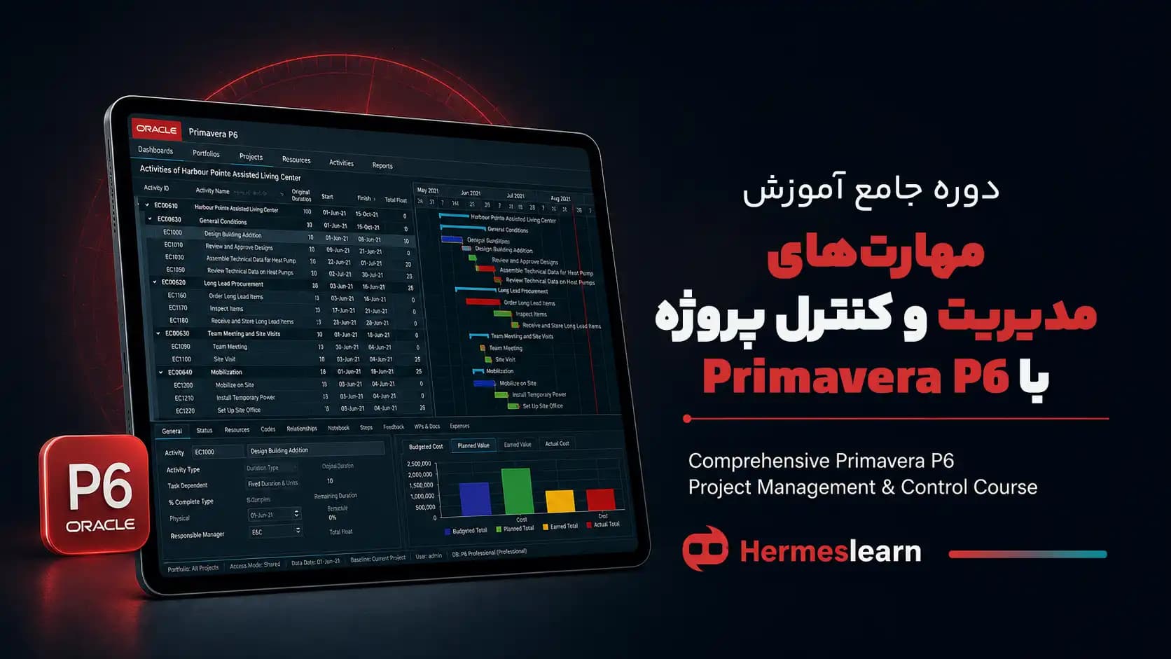 دوره جامع آموزش مهارت‌های مدیریت و کنترل پروژه با Primavera P6