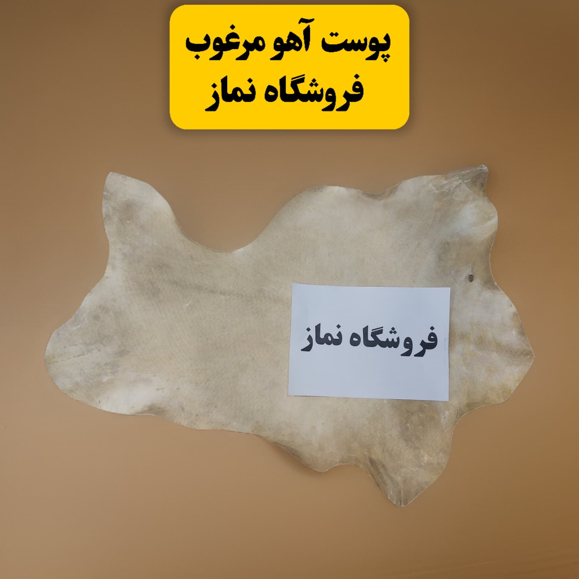 حرز مخصوص امیرالمومنین امام علی علیه السلام روی پوست آهو — تصویر ۶