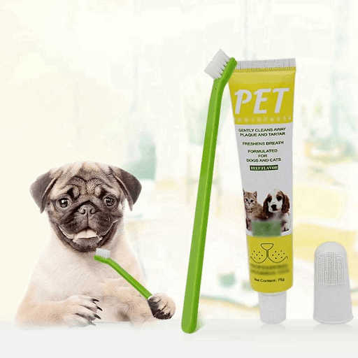 ست خمیر دندان و مسواک سگ مدل pet oral care