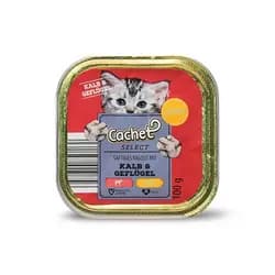 ووم بچه گربه با طعم گوشت بره و پرنده Cachet — تصویر ۲