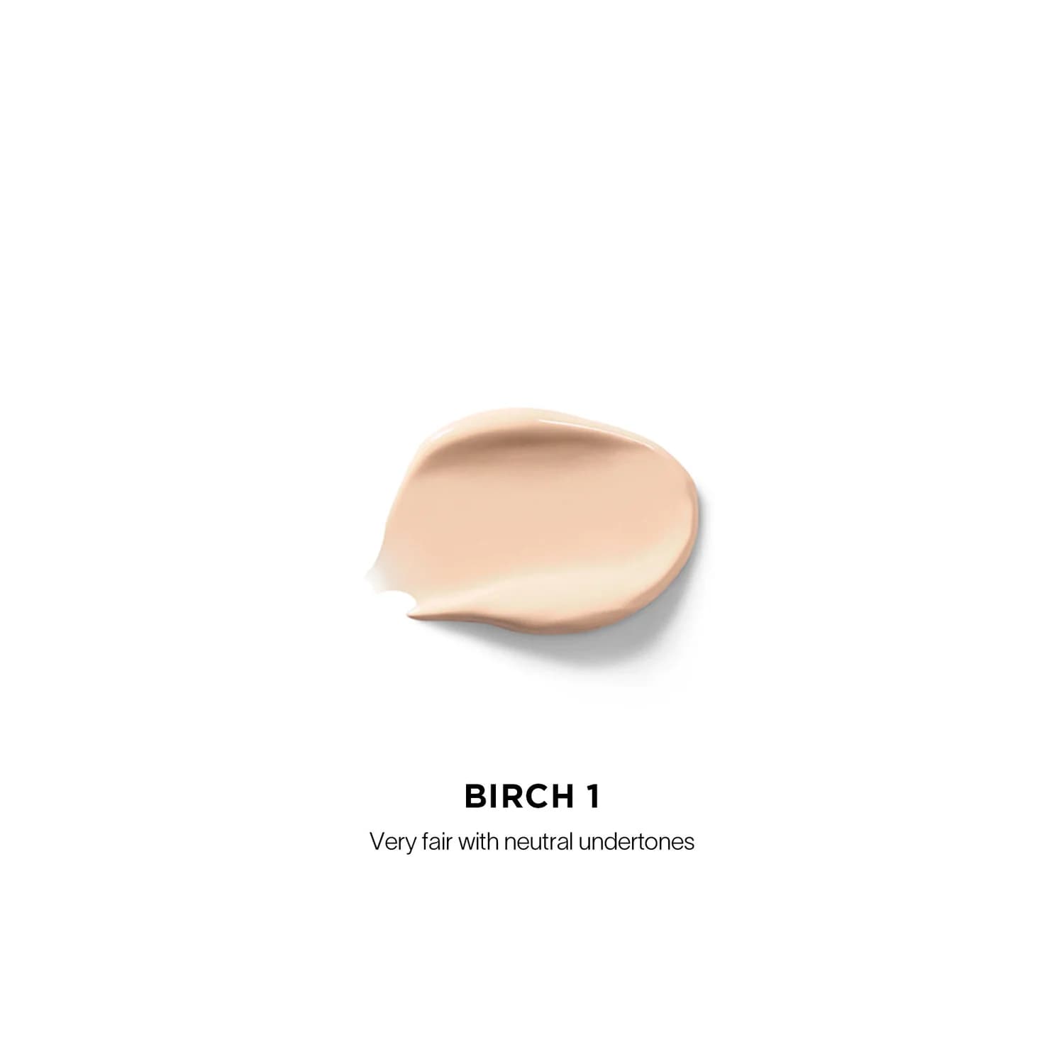 کانسیلر اورگلس Vanish Airbrush رنگ Birch 1 | فول کاور — تصویر ۷