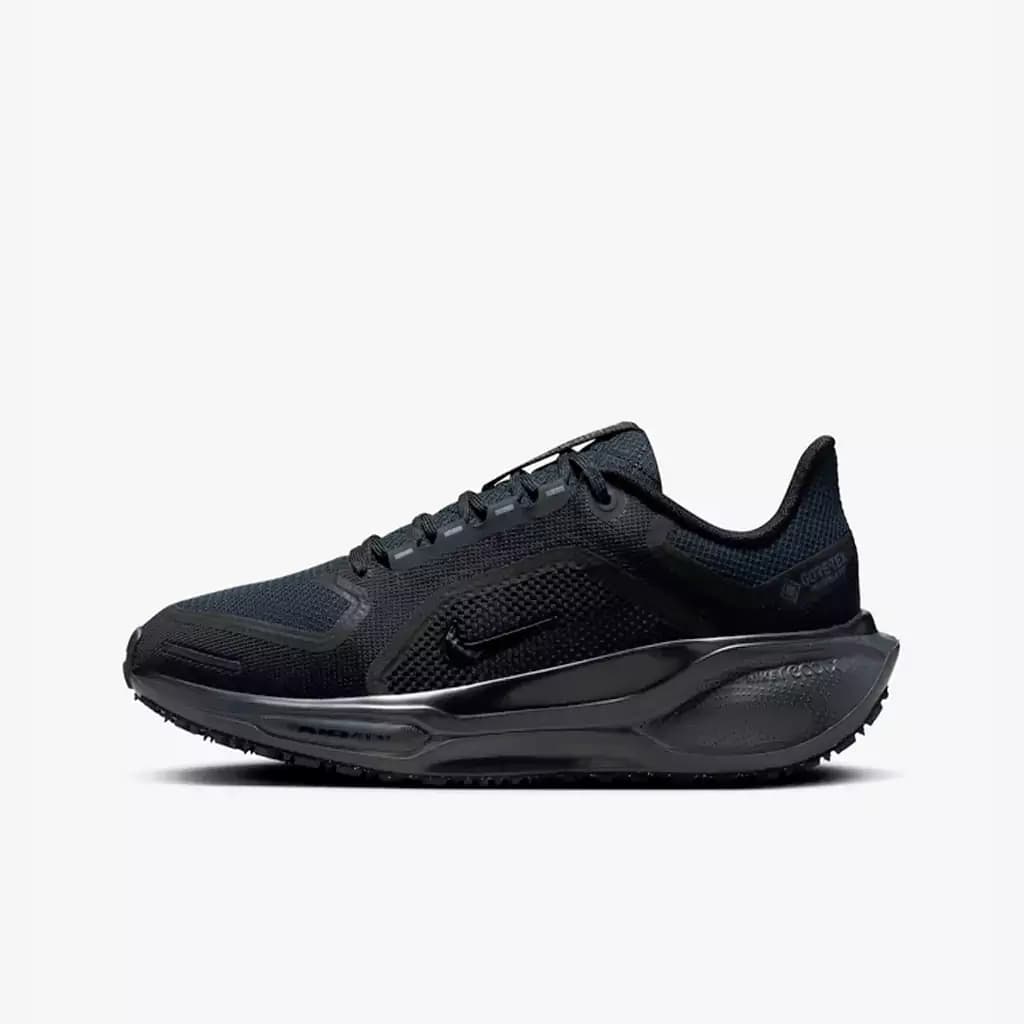 کفش رانینگ نایکی Nike Pegasus 41 GORE-TEX — تصویر ۲