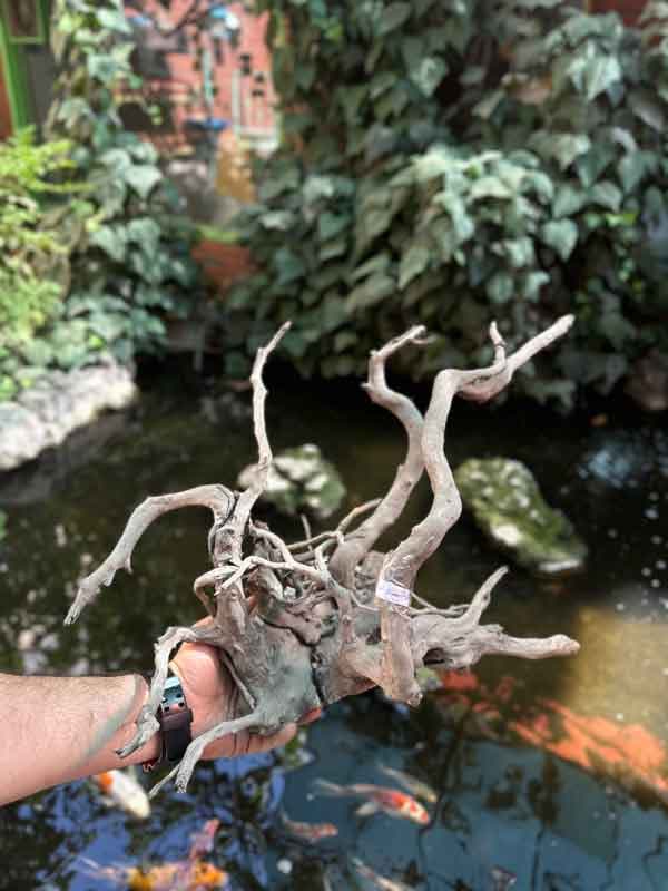 چوب آبنوس دکوری آکواریوم مدل summer 3 — تصویر ۳