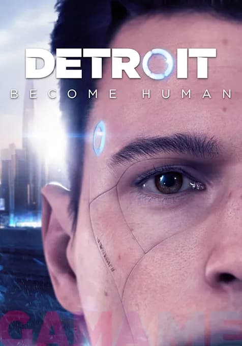 اکانت قانونی Detroit Become Human