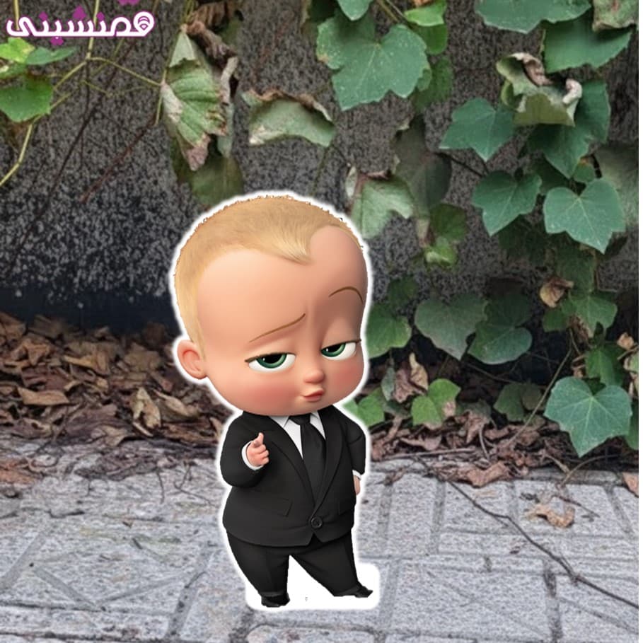 مجموعه 38 عددی دکور و تزیین تم تولد بچه رئیس عدد 06 — تصویر ۳
