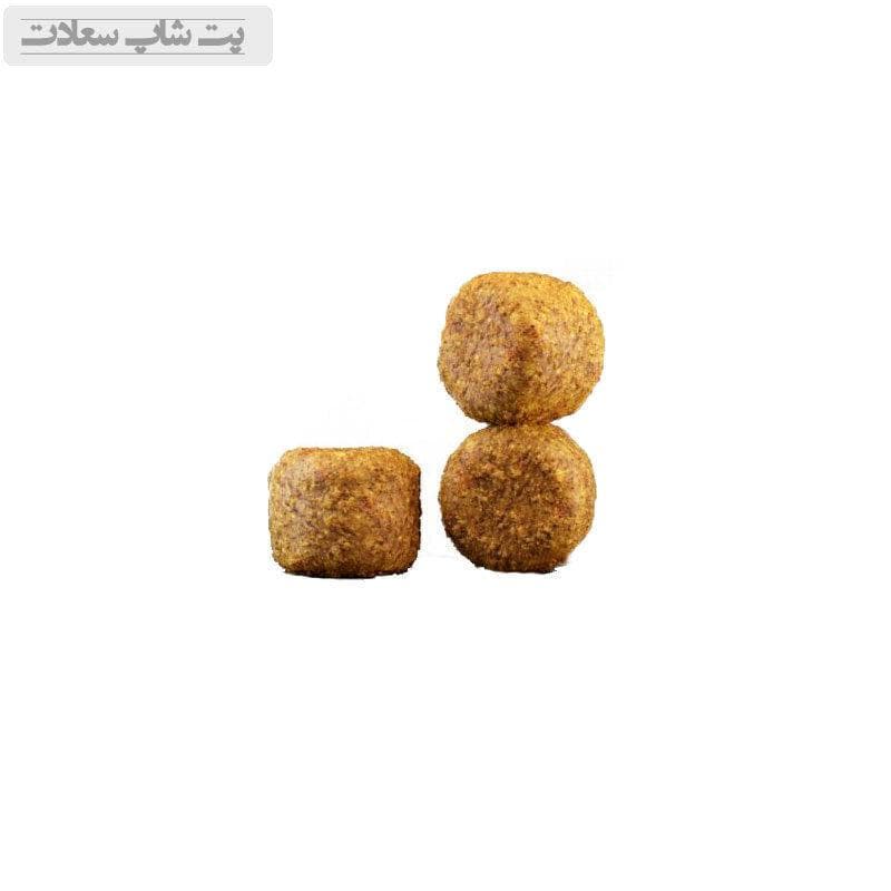 غذای خشک گربه مسن کاریزمو جوسرا Josera Senior Carismo وزن 10 کیلوگرم — تصویر ۴