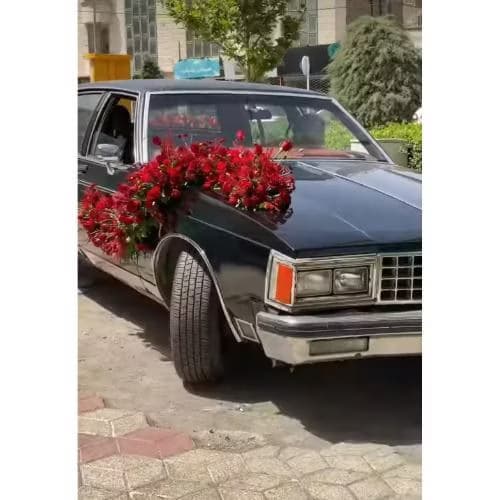 تزیین ماشین عروس با گل رز 149 — تصویر ۲