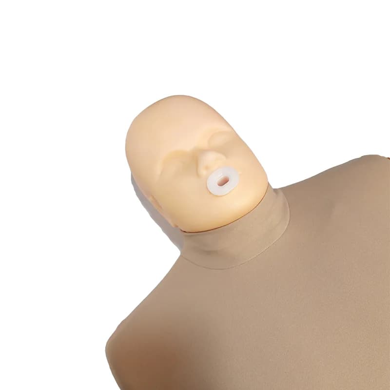 مولاژ احیای قلبی ریوی CPR و تنفس مصنوعی بزرگسالان مدل پایه — تصویر ۵