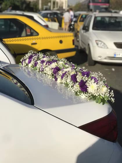 ماشین عروس ۲۰۷ سفید 115