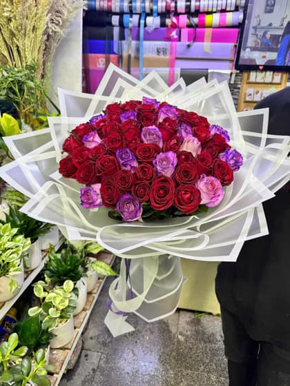 دسته گل رز قرمز و بنفش هلندی کد 502