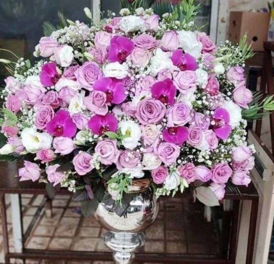 جام گل رز و ارکیده بنفش پانیا برای خواستگاری کد 400