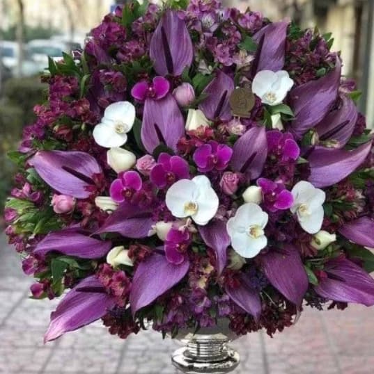 جام گل ارکیده و آنتریوم بنفش دلانا برای افتتاحیه 394
