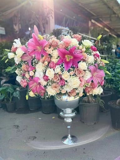 ‎‎جام گل بله برون 371