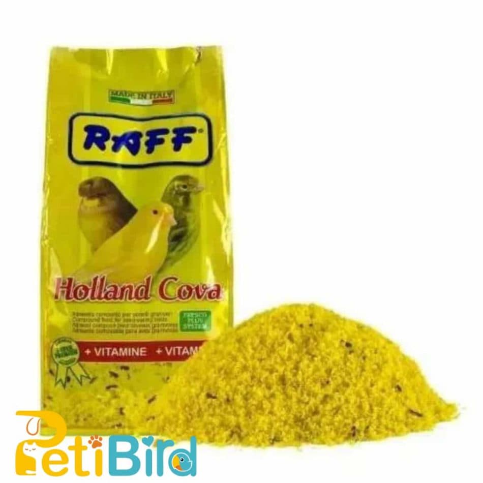 غذای نرم زرد تخم مرغی و عسلی راف ایتالیا HOLLAND COVA RAFF