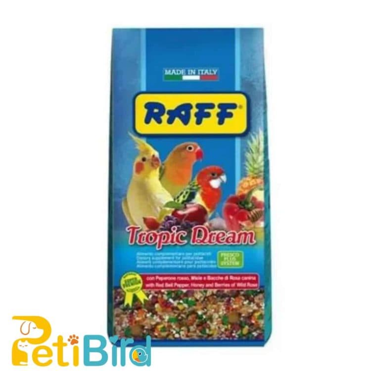 راف تروپیک دریم میوه ای آجیلی TROPIC DREAM RAFF