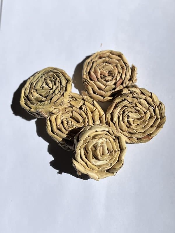 چیپس پفکی طوطی سانان بسته 5 عددی