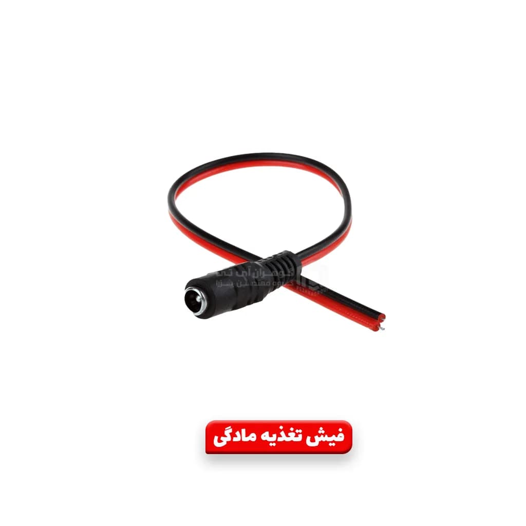 فیش تغذیه مادگی