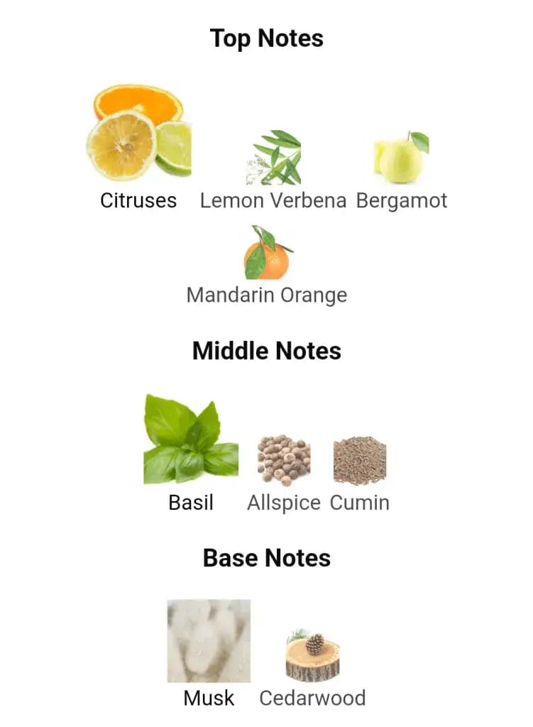 عطر ادکلن کرید رویال واتر اصل — تصویر ۹