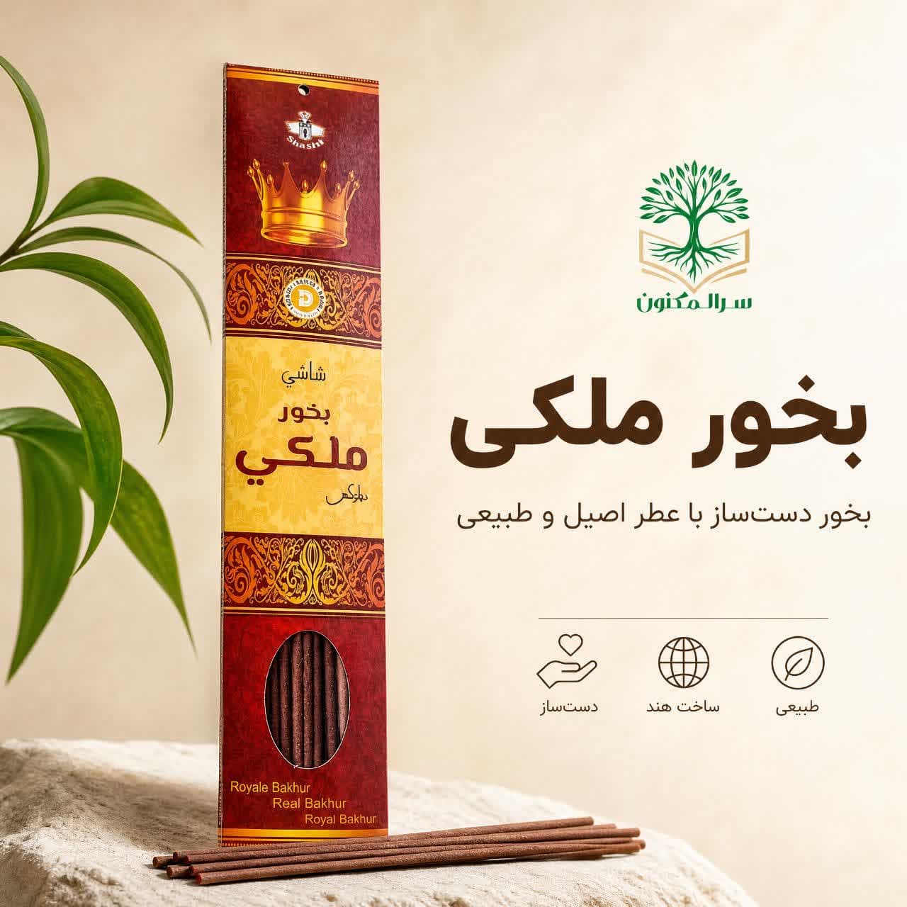 عود ملکی برند شاشی