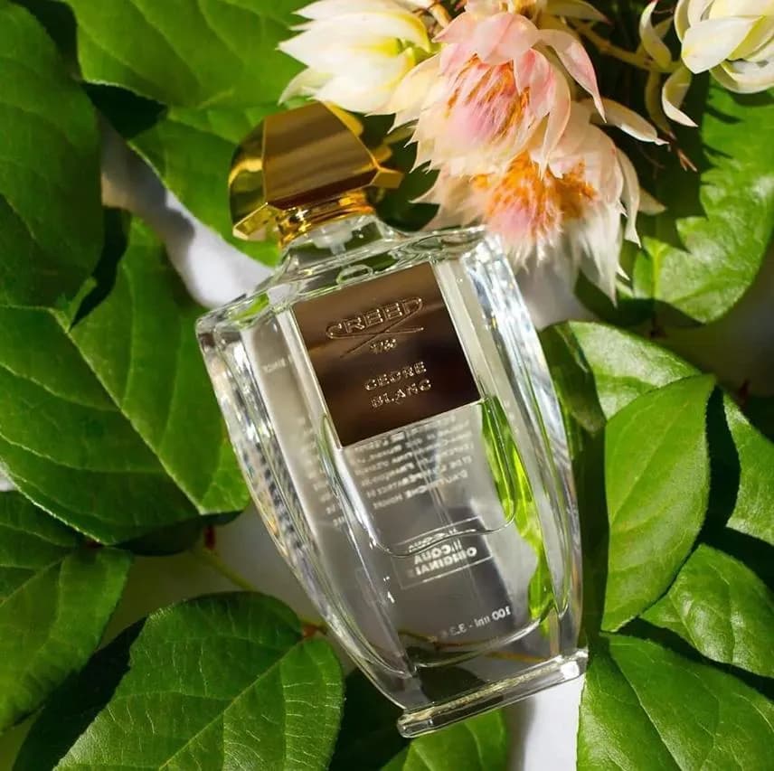 عطر ادکلن کرید سدره بلنک اصل — تصویر ۴