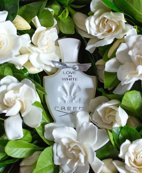 عطر ادکلن کرید لاو این وایت زنانه اصل — تصویر ۴