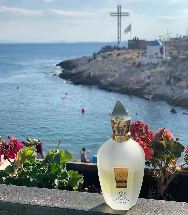 عطر ادکلن زرجوف زفیرو اصل — تصویر ۶