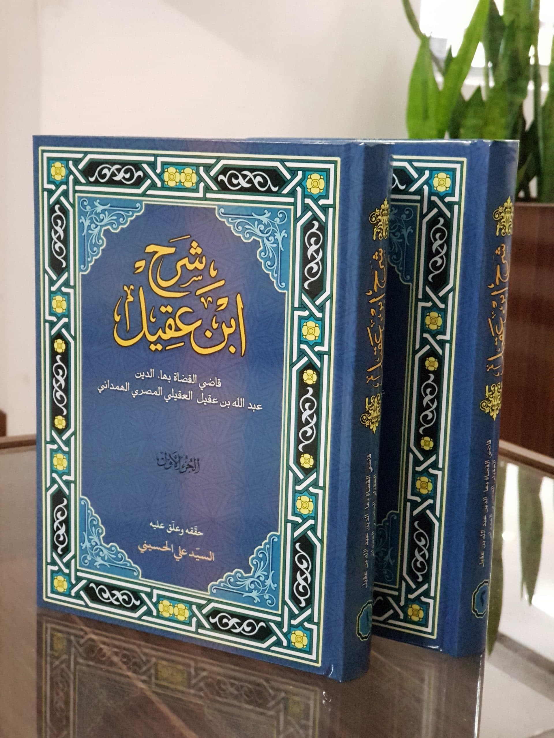 شرح ابن عقیل(الجزء الاول و الجزء الثانی)