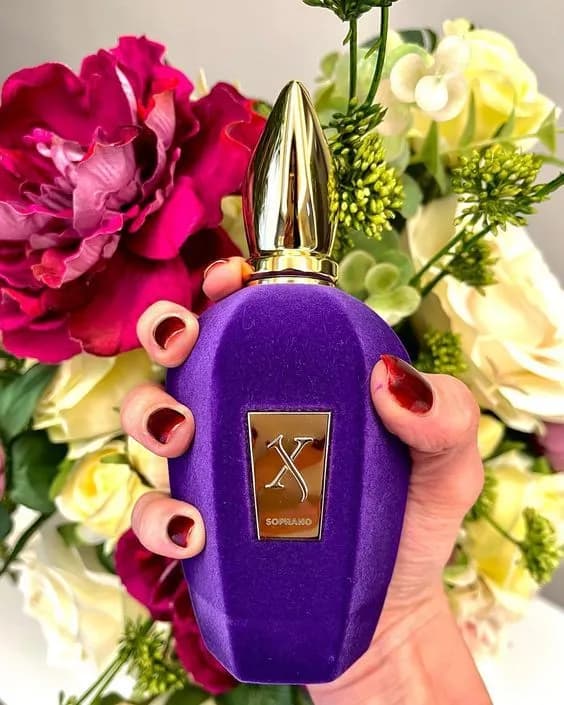 عطر ادکلن زرجوف اکسنتو اصل — تصویر ۶