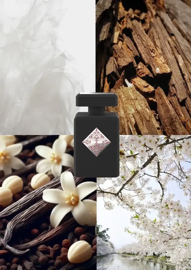 عطر ادکلن اینیشیو بلسد باراکا اصل — تصویر ۴