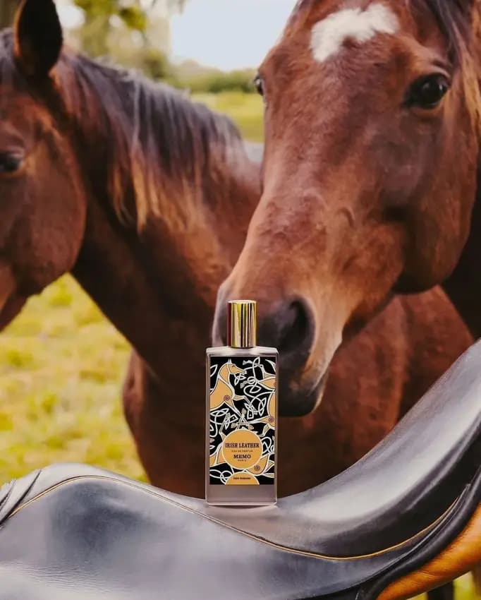 عطر ادکلن ممو آیریش لدر اصل — تصویر ۶