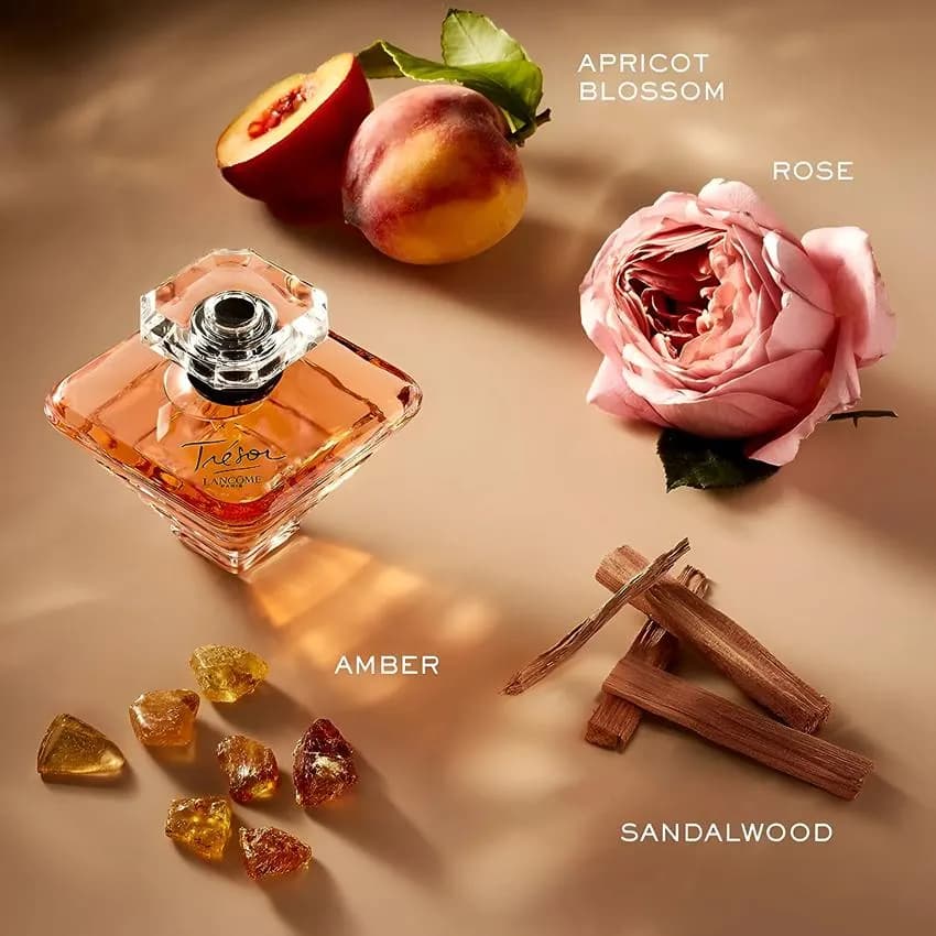عطر ادکلن لانکوم ترزور زنانه اصل — تصویر ۶