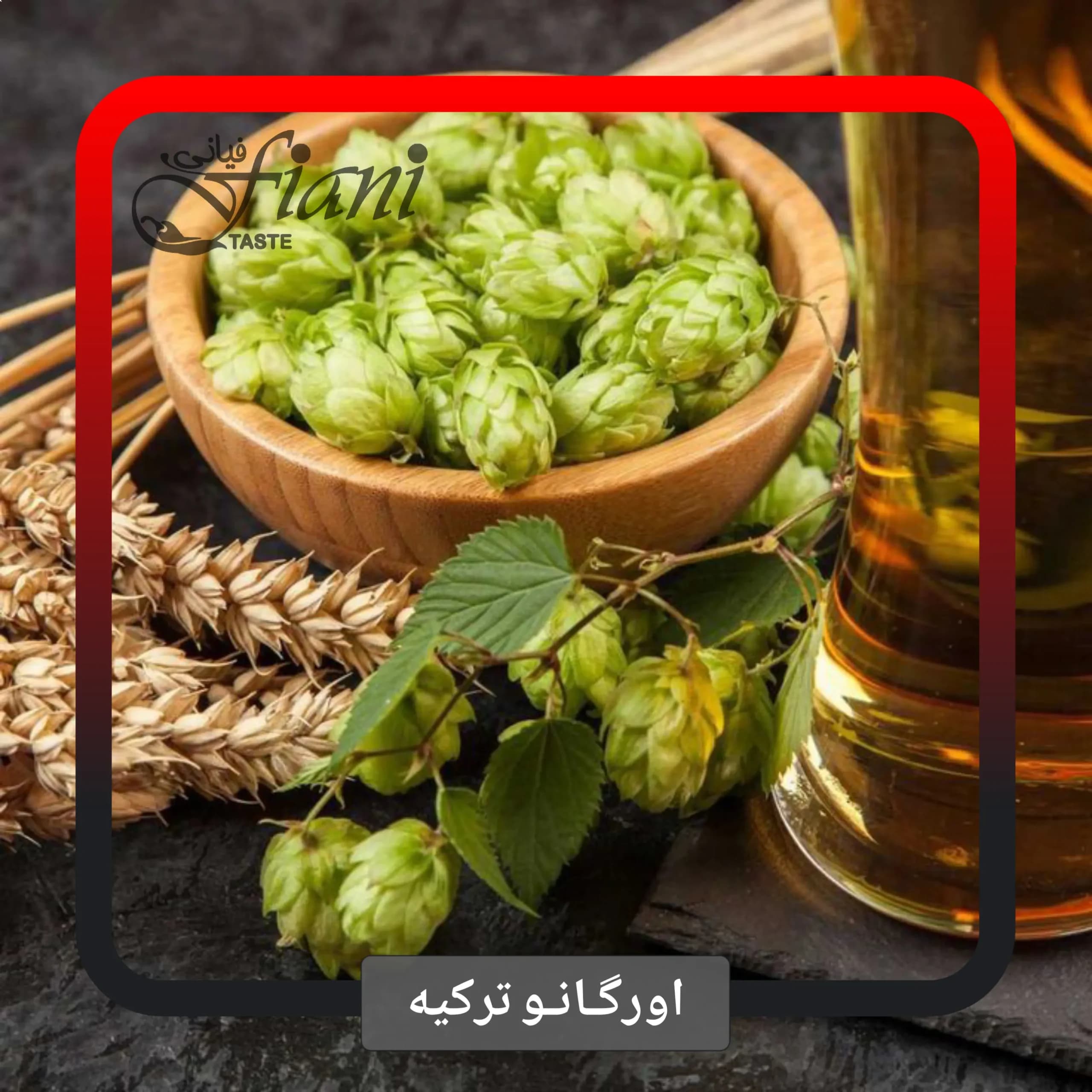 اورگانو اصل ترکیه