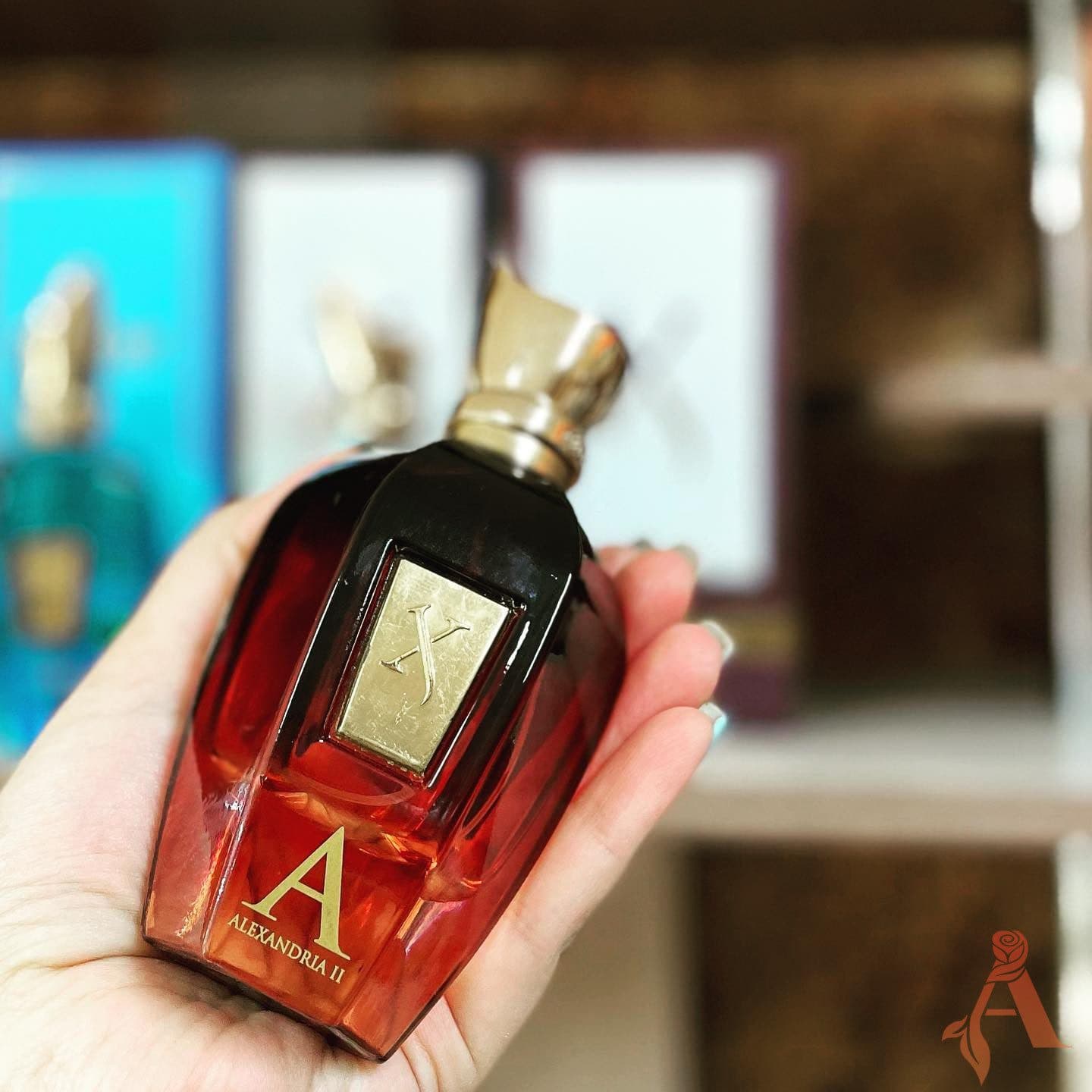 عطر خالص زرجف-زرژاف الکساندریا 2 | Xerjoff Alexandria II