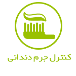 غذای گربه بالغ وی پت VIPET — تصویر ۶
