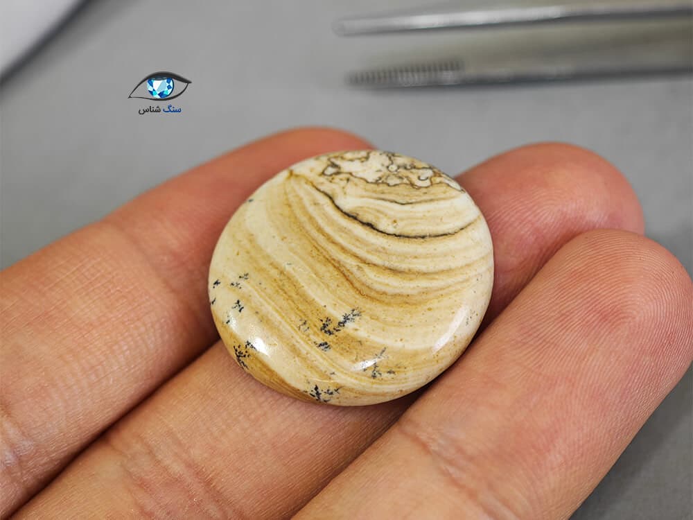 سنگ جاسپر منظره گرد 5 گرم — تصویر ۴
