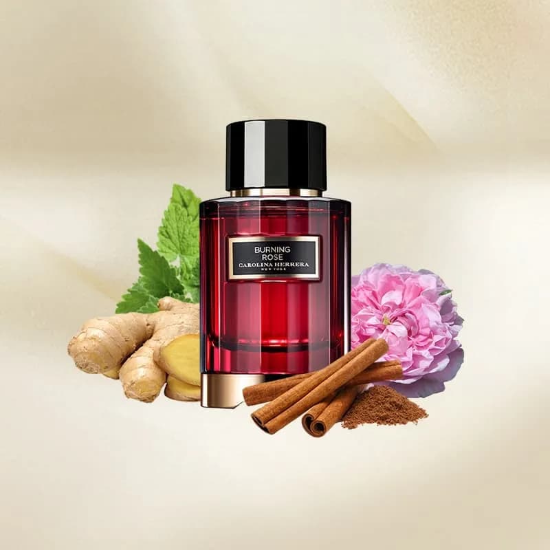 عطر ادکلن کارولینا هررا برنینگ رز اصل — تصویر ۴