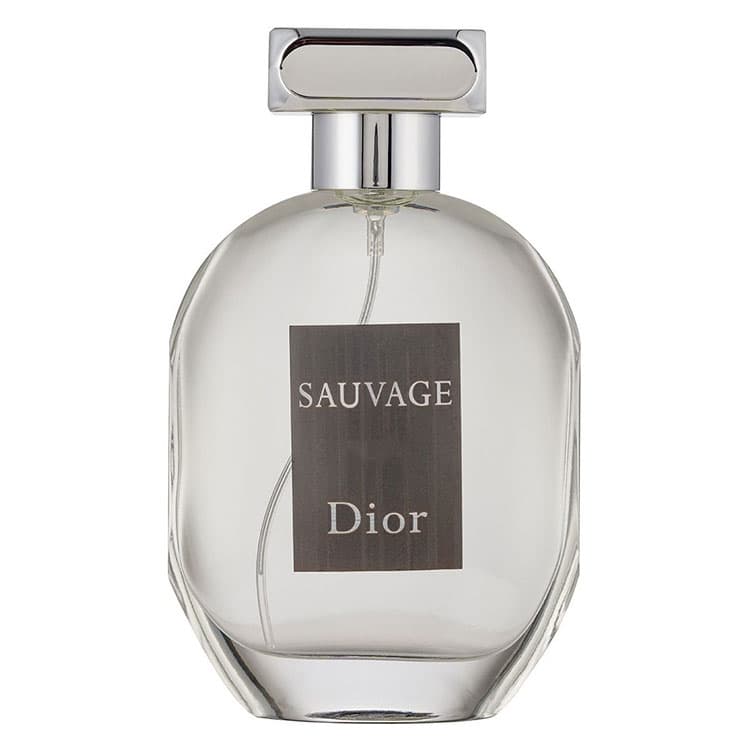 ادو پرفیوم مردانه شرکتی Hot Love Dior Sauvage حجم 100 میلی لیتر
