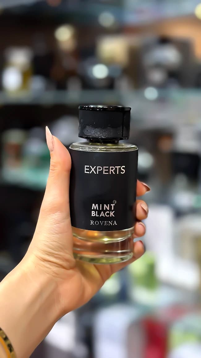 ادکلن مردانه روونا Experts مدل Mont Blanc Explorer حجم 100 میل