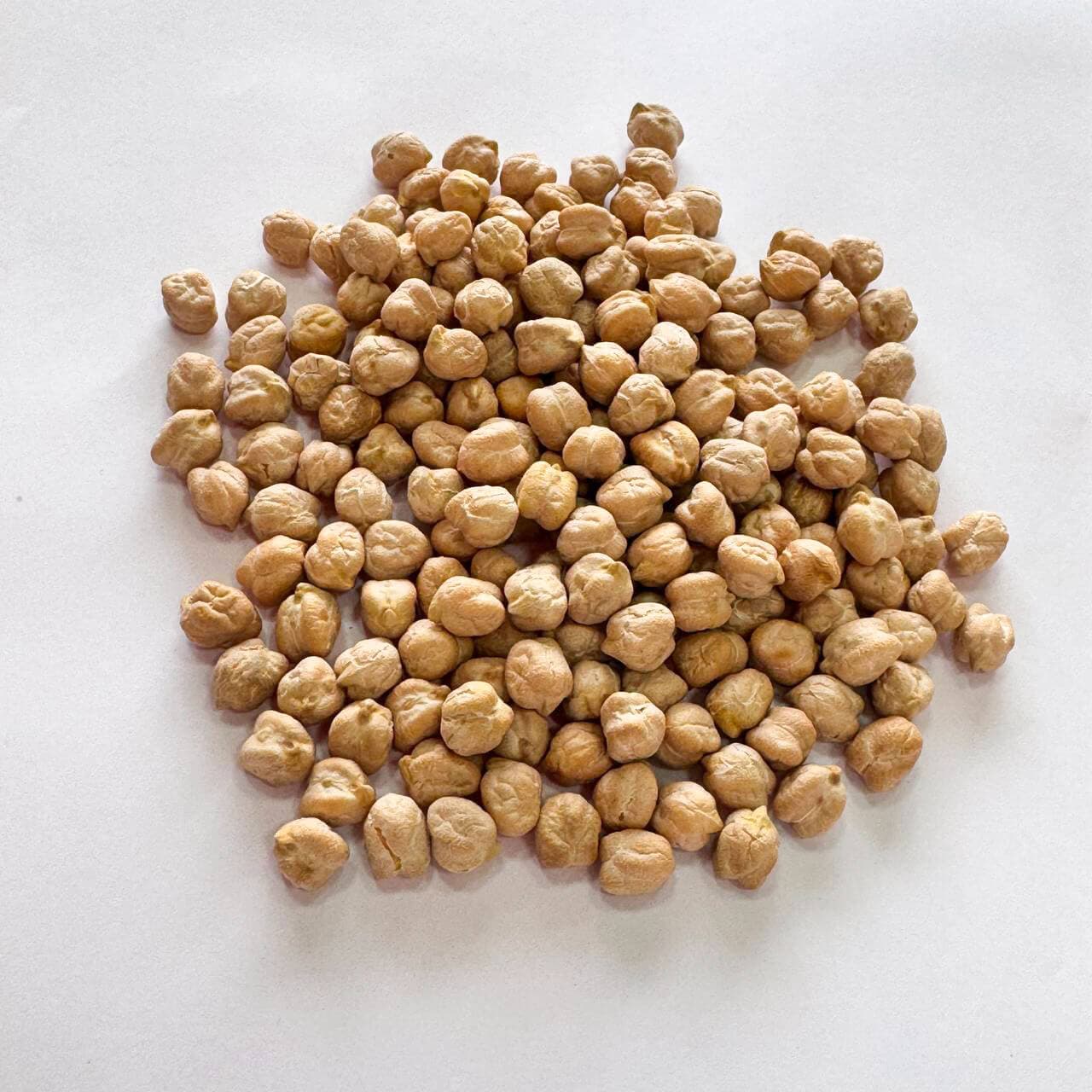 نخود سایز ۸ و ۹ میلیمتری — تصویر ۶