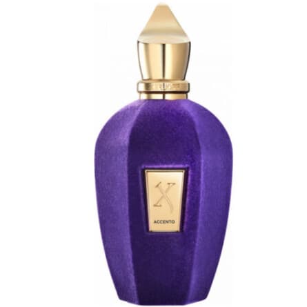 عطر ادکلن زرجف اکسنتو-اچنتو-زرجوف اکنتو | Xerjoff Accento – هارد باکس مستر کوالیتی – 100 میل