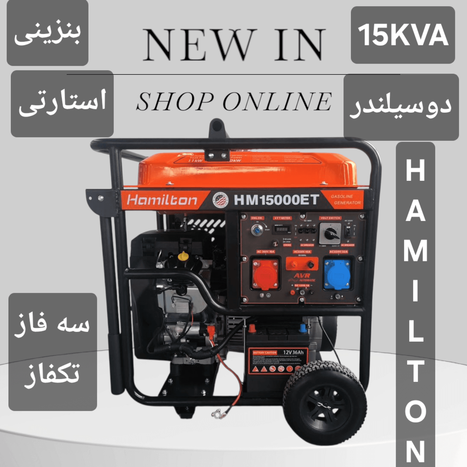 15kva بنزینی دوسیلندر استارتی همیلتون