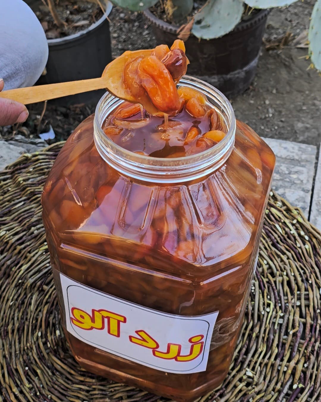 ترشک زردآلو یک کیلویی