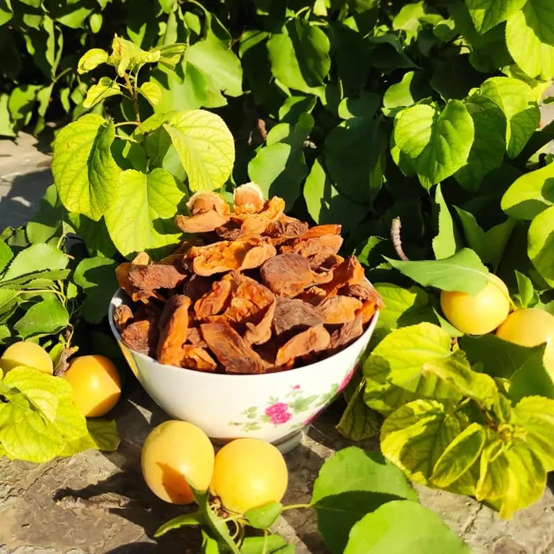 برگه زردآلو آفتابی و محلی یک کیلویی — تصویر ۲
