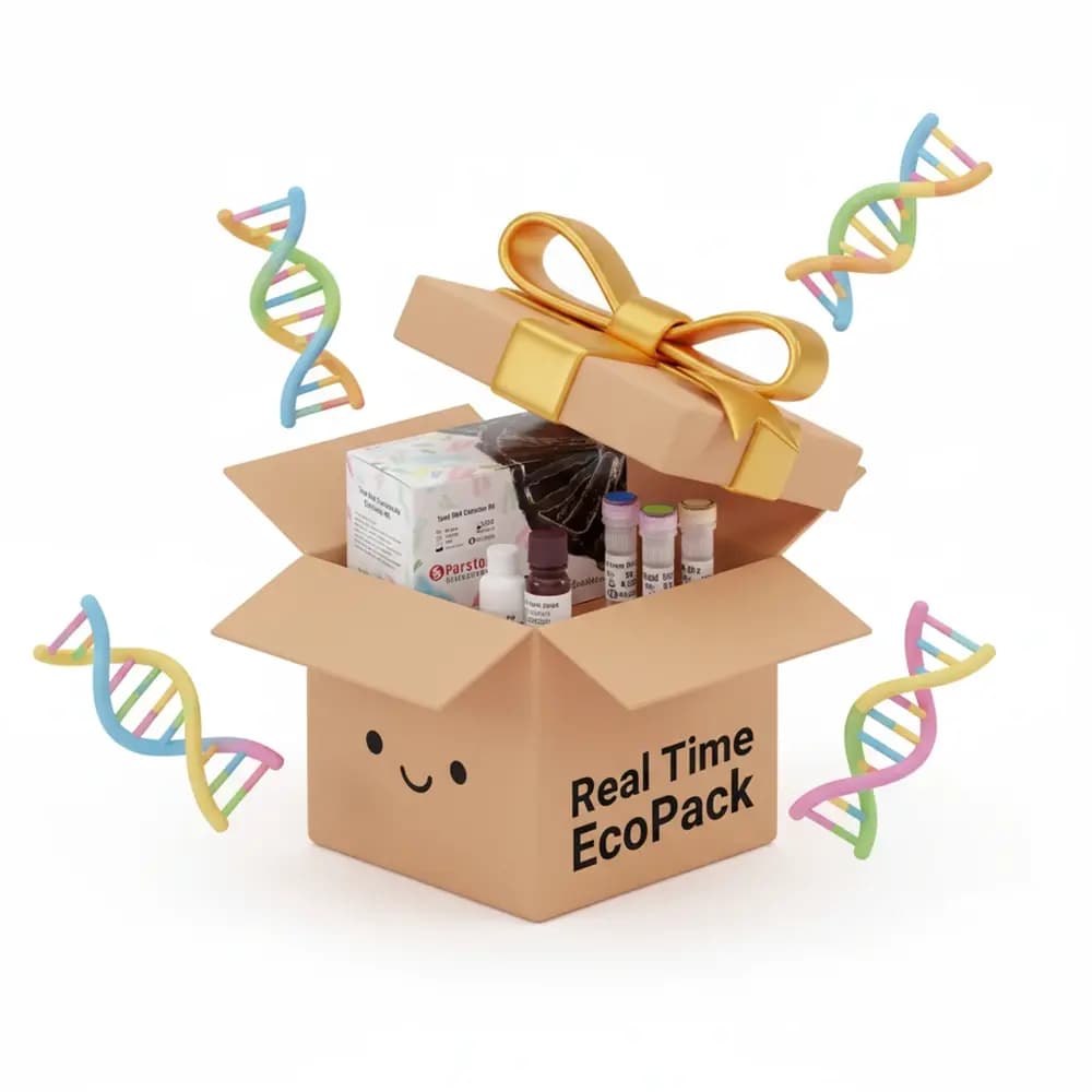 ™Real Time EcoPack